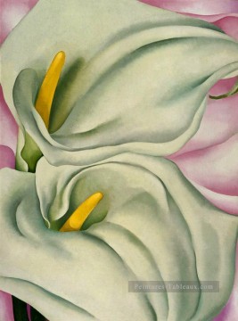 Fleurs œuvres - deux Lys Calla sur rose Georgia Okeeffe décoration florale
